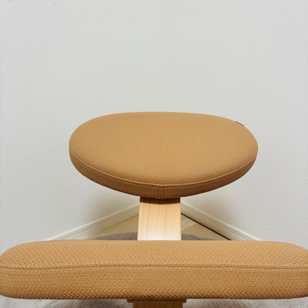 【美品】 バランスラボ バランスイージー ベージュ　現行品　通常フレーム