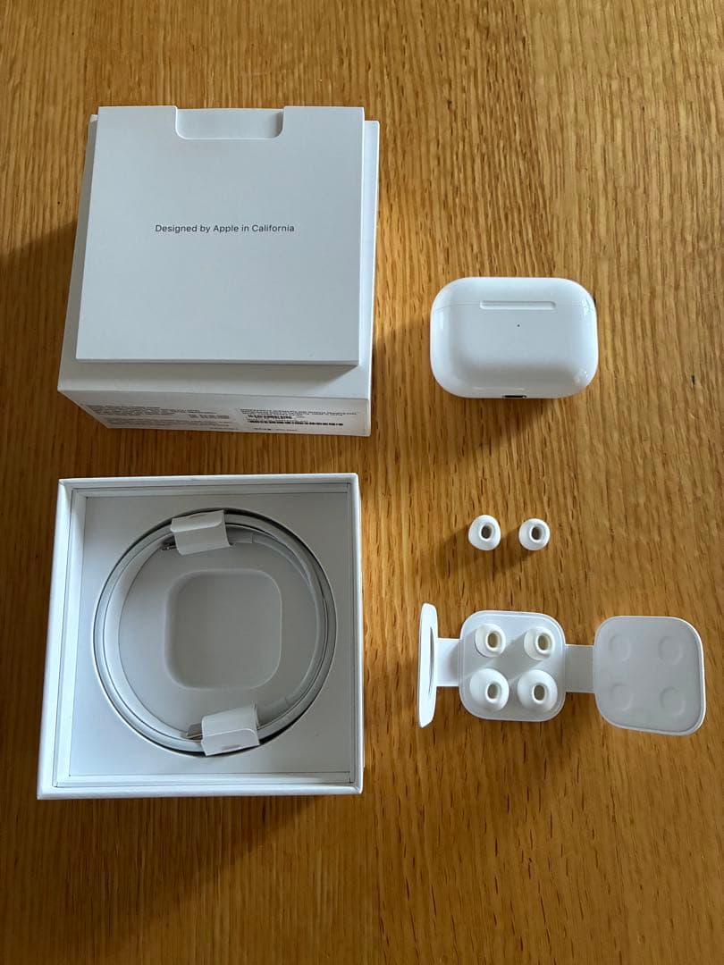 Apple AirPods Pro 第一世代（ノイキャン搭載）