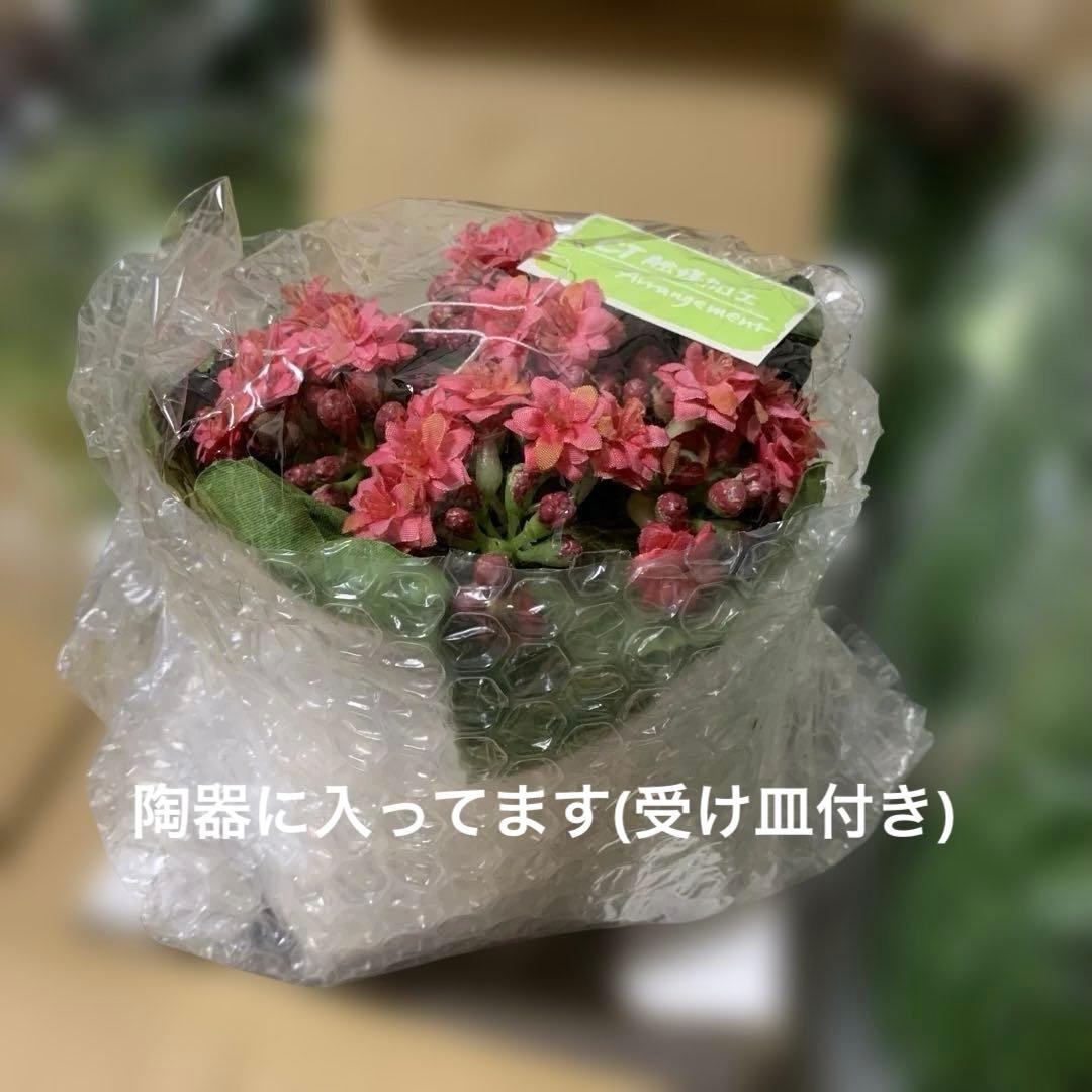 CT触媒加工 フェイクグリーン　17個　まとめ売り　空気清浄