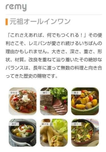 未使用　レミパン　ミニ　20cm　ネイビー　紺　フライパン　レミー　調理器具