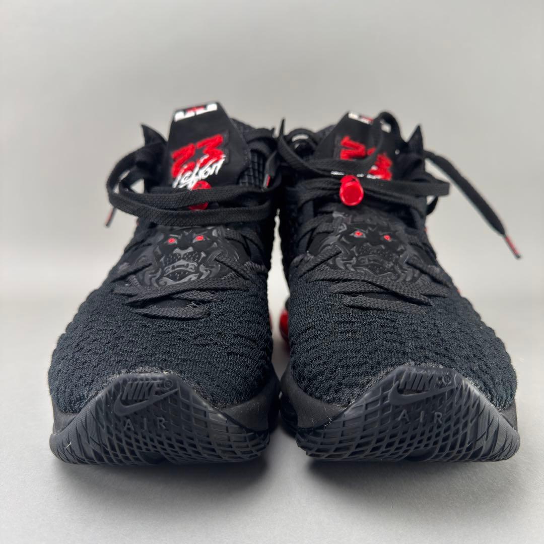 NIKE LEBRON XVII ナイキ レブロン 17 27cm ブルズカラー