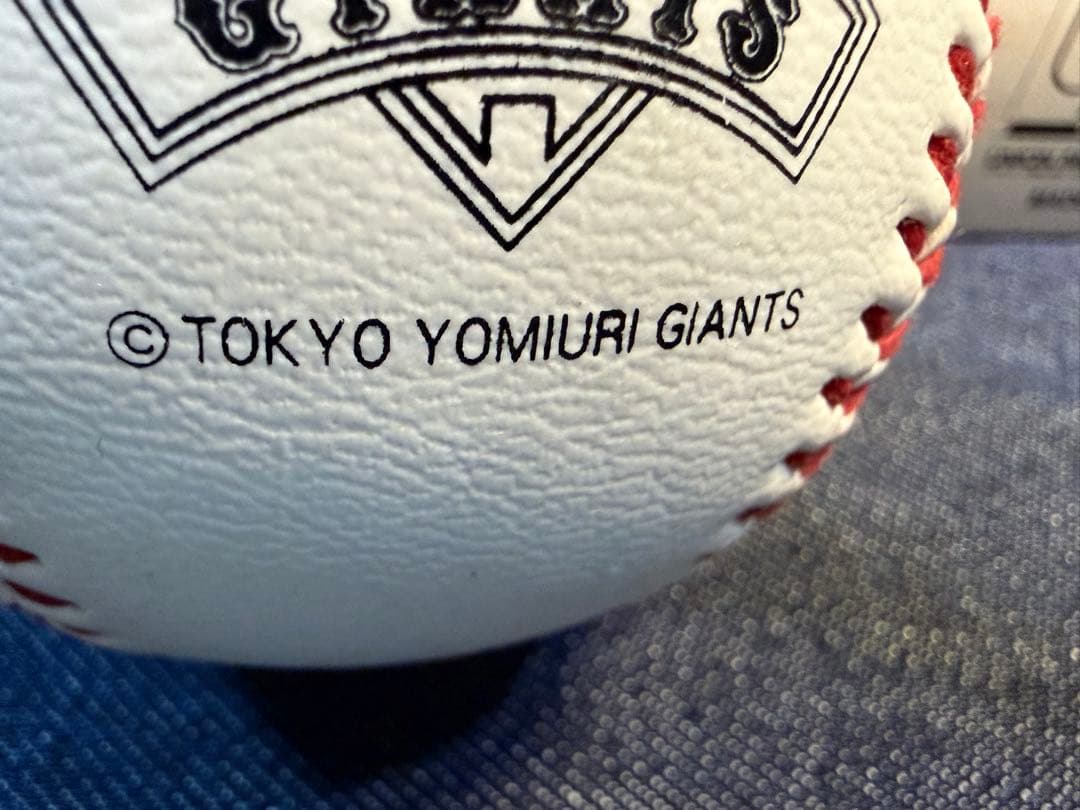 パナソニック 電子ルーペ ActiveView EJ-VM01 拡大鏡