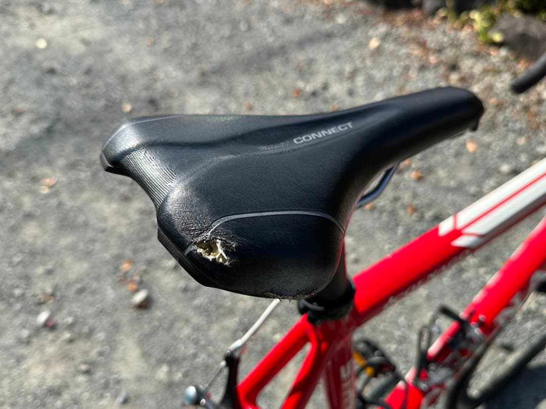 りゅけ　ロードバイク　COLNAGO STRADA SL 完成車