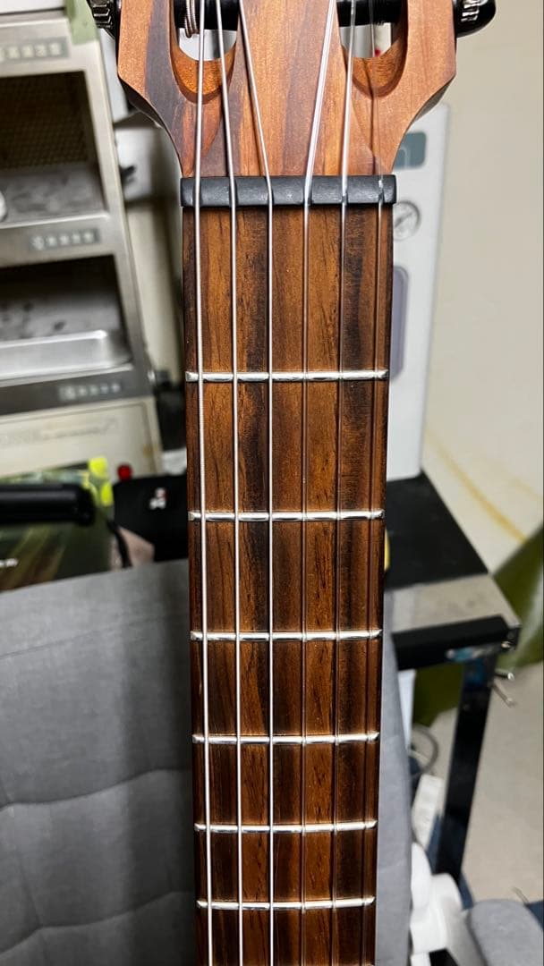 Lag Tramontane TN170ACE エレガットギター