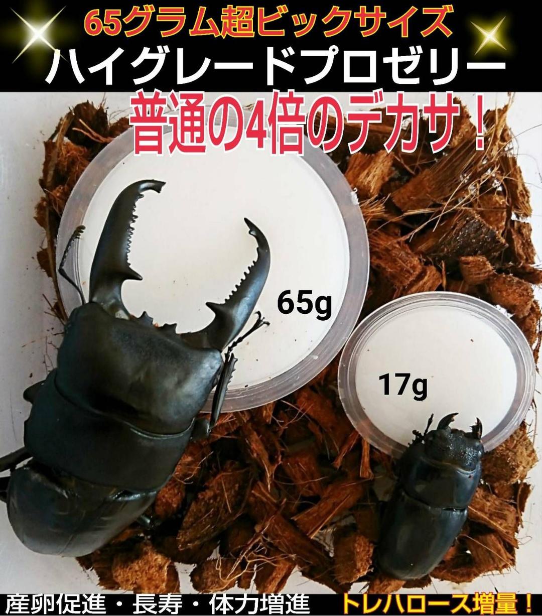 ビッグサイズ！ハイグレードプロゼリー☆200個　普通の4倍以上のデカサ！プロ仕様