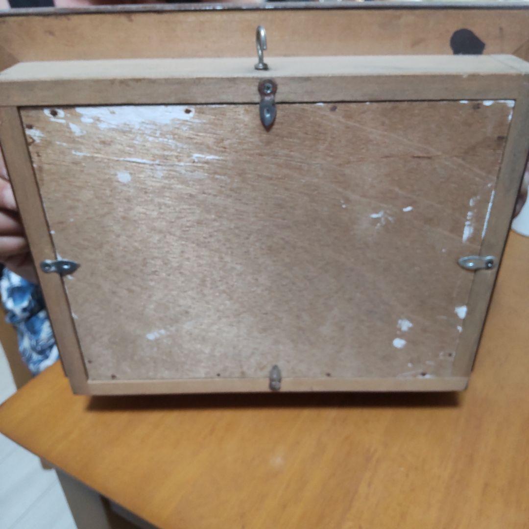 やっちゃん　メガネトリバネアゲハ　スルコウスキーモルフォ蝶　蝶の標本