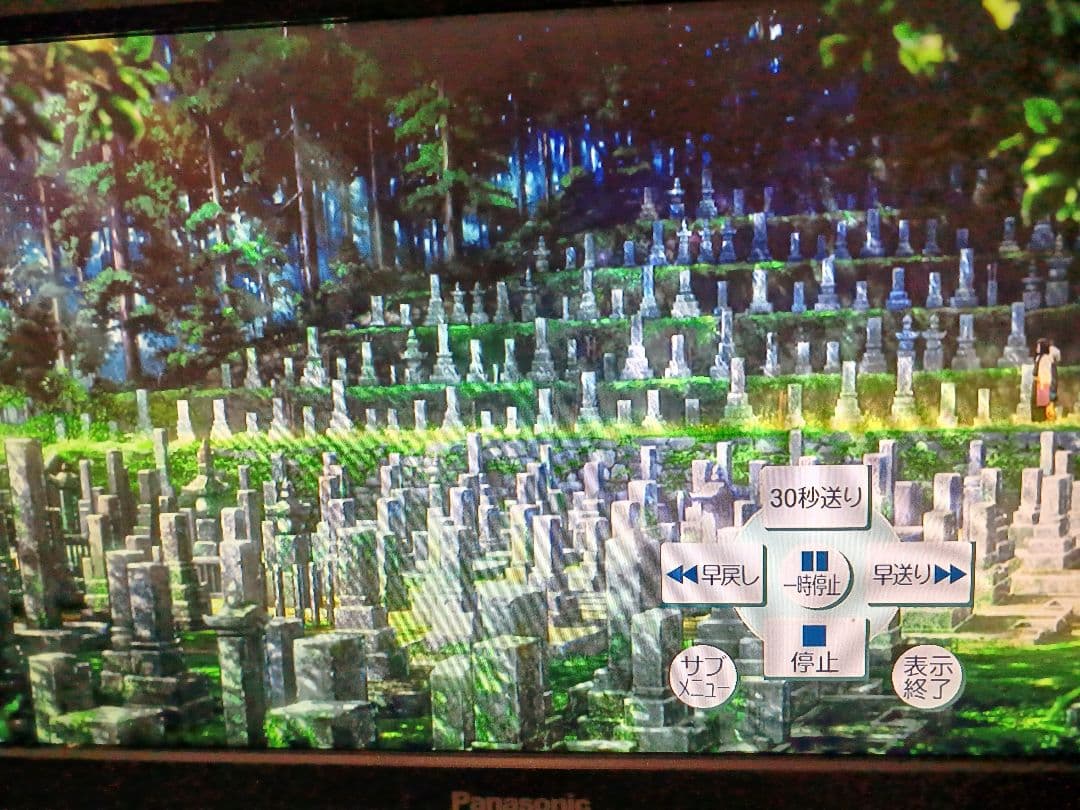 DIGA ブルーレイレコーダー❇️リモコン付