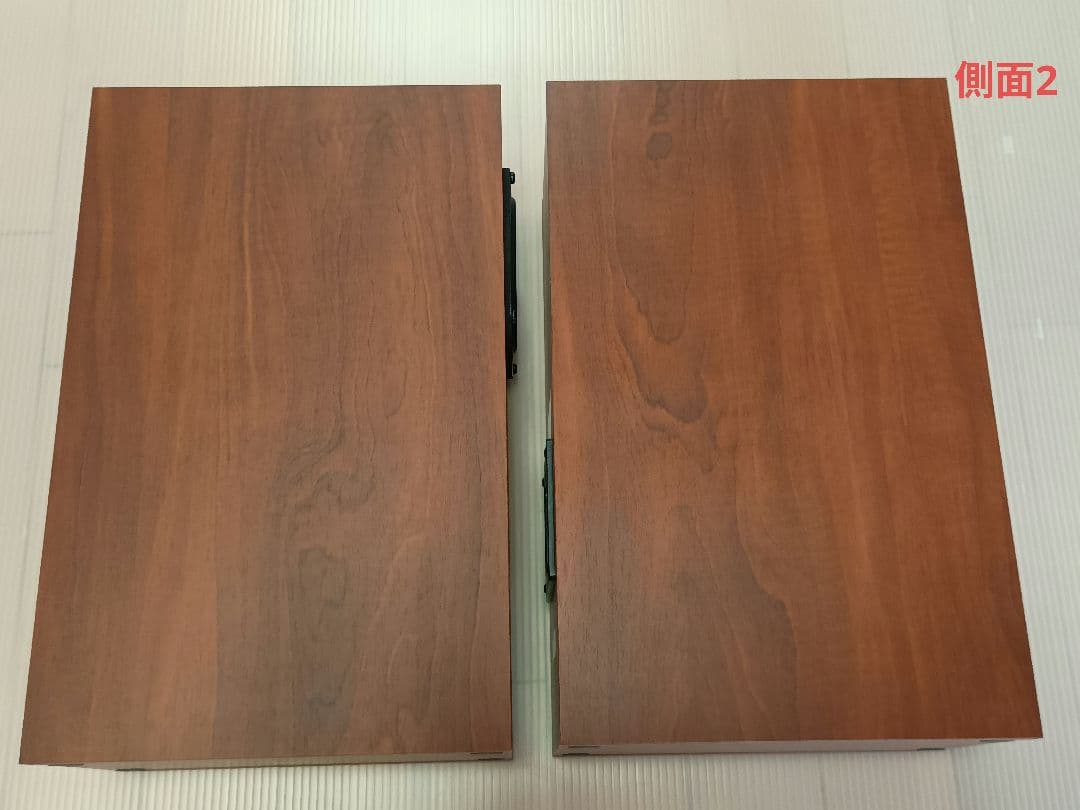 FOSTEX スピーカー P1000-BH（ペア）