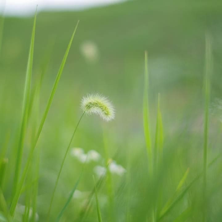 【極美品】PENTAX K-5Ⅱs デジタル一眼カメラ