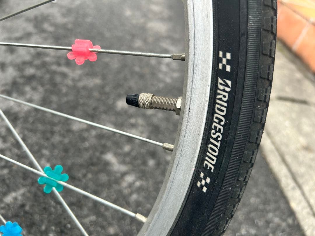 【滋賀県直接受け渡し出来る方限定】子供用自転車 22インチ エコパル