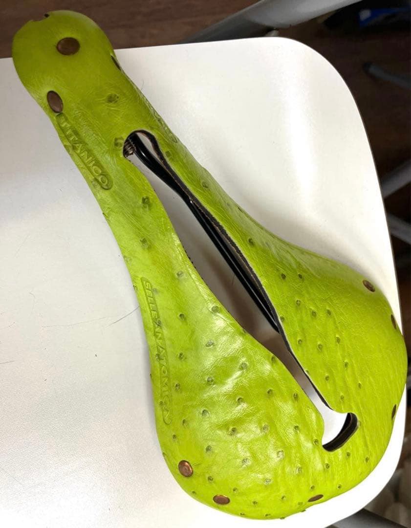 Sella Anatomica オーストリッチ トム・ミルトン在命時 2008年