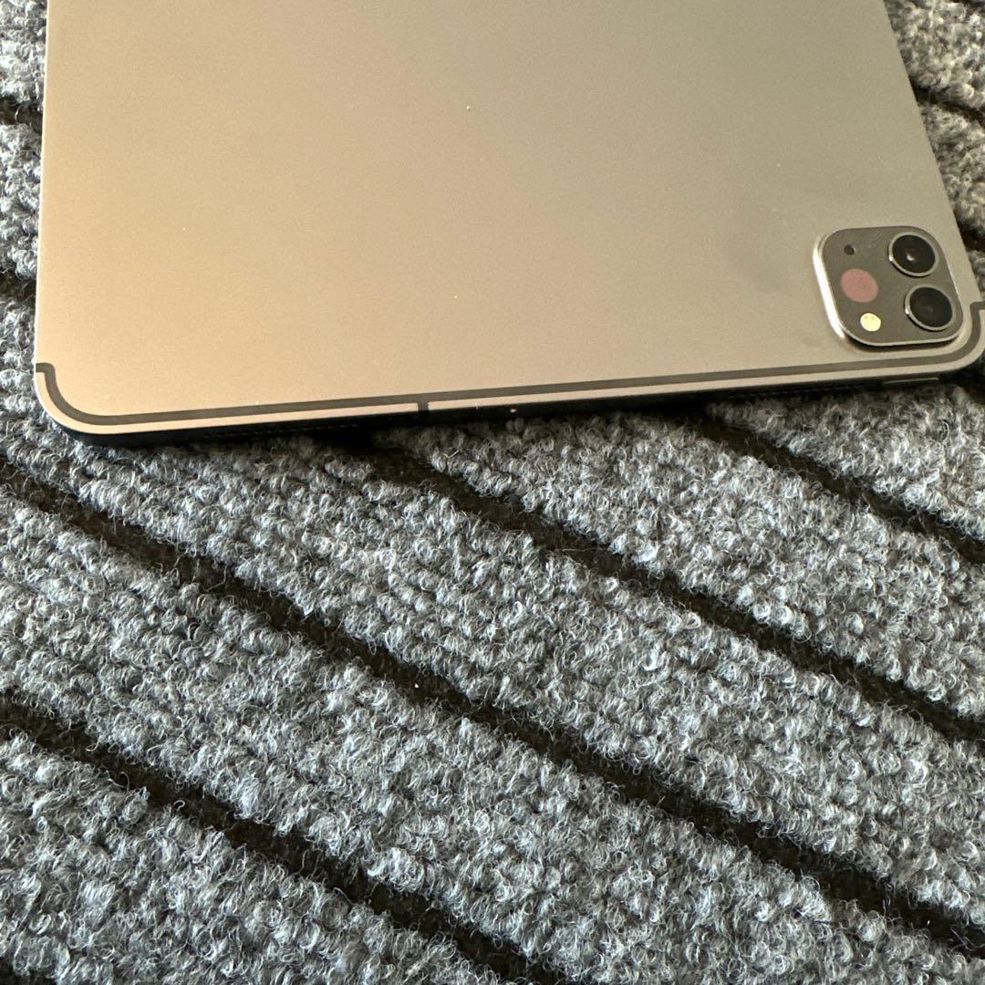 71【早い者勝ち】 ⭐︎iPad Pro 11インチ 2世代 256GB グレイ