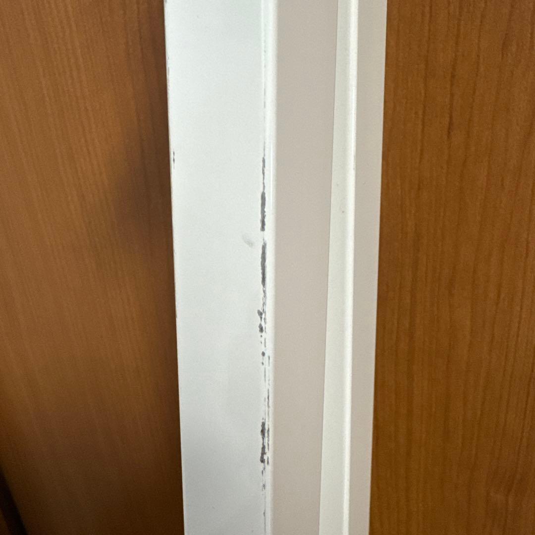 アクセサリー Action Roller Advance