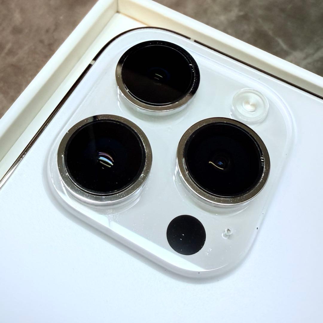 Apple iPhone 14 Pro シルバー　256GB 本体 77%