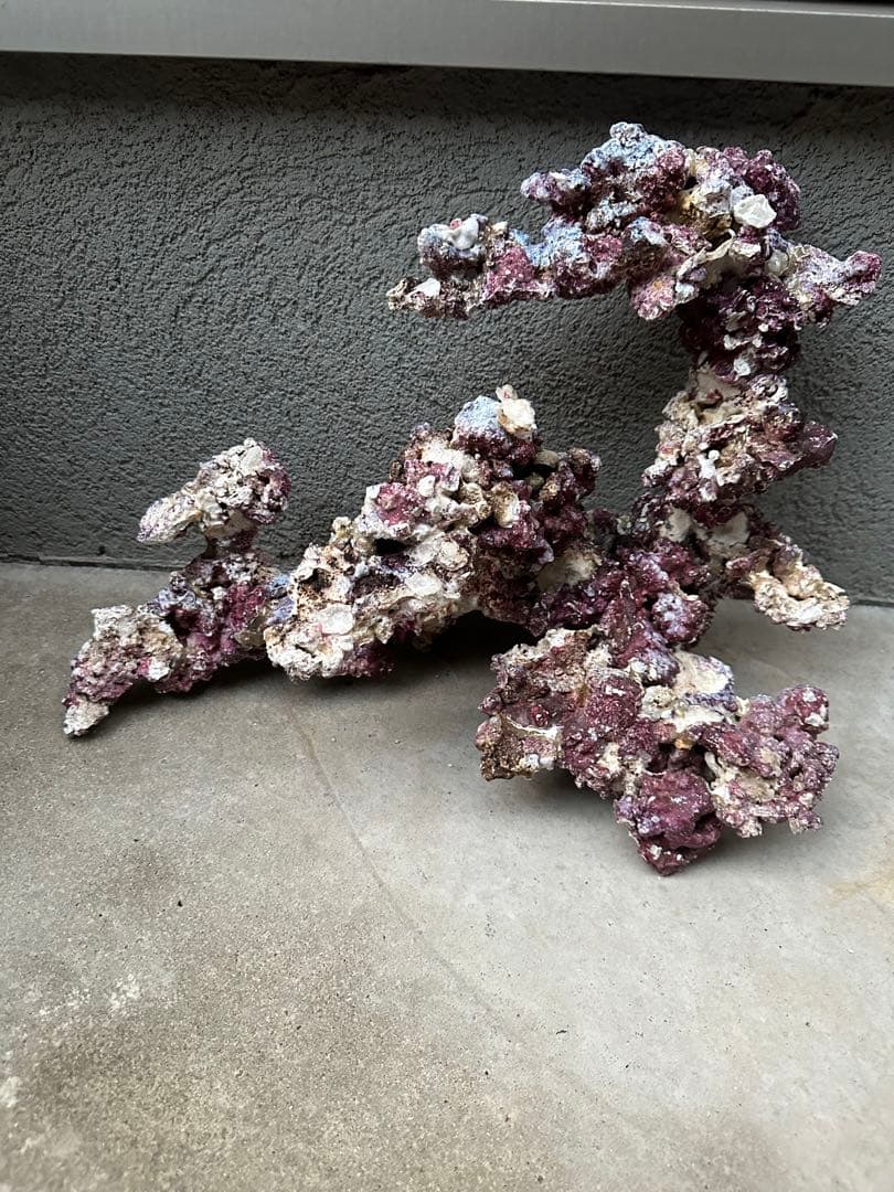 人工ライブロック　ライブロックオーダー品