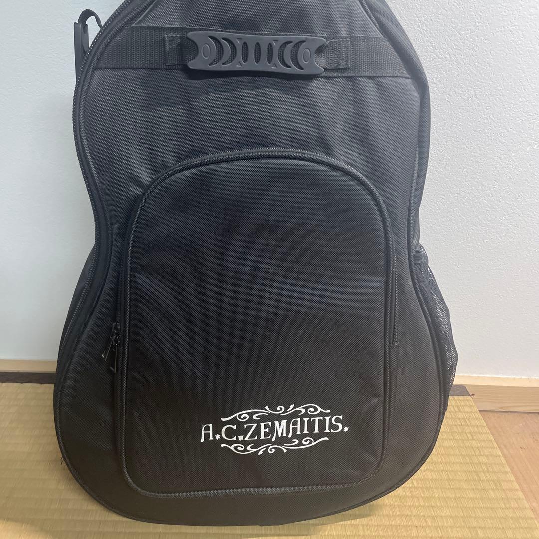 希少カワイイ❤️ ゼマイティス CAG-100HW-E アコギ　エレアコ　ハート