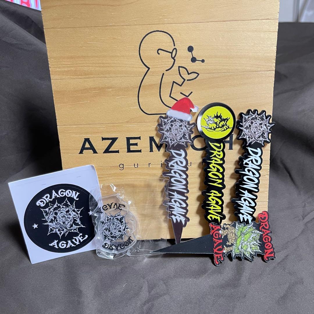 アガベ ハイブリッド　姫厳龍 × 木刺龍　キシロナカンサ　ドラゴンアガベ