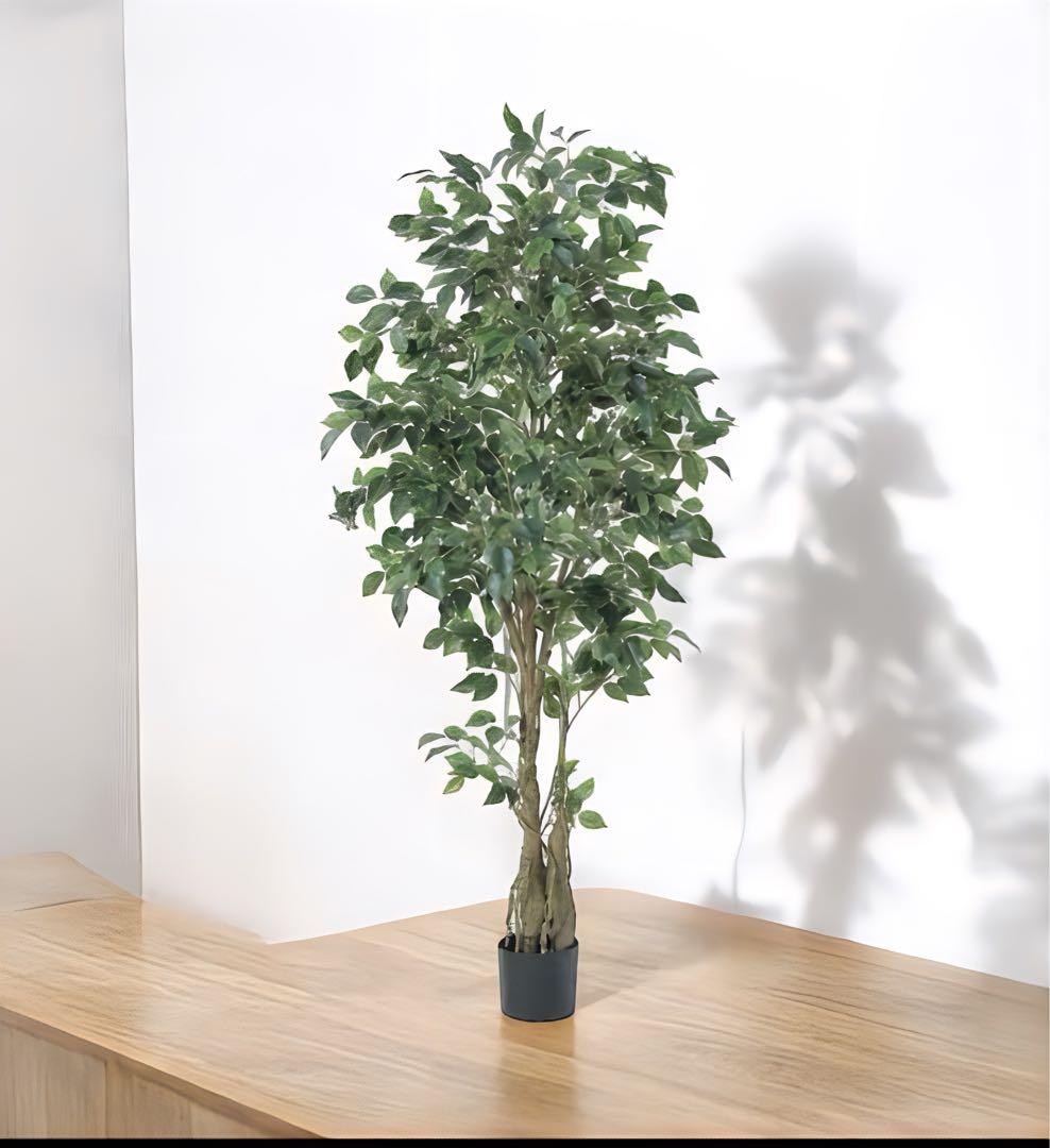 光触媒　人工観葉植物　ウォールグリーン　フェイクグリーン　フィカスツリー190