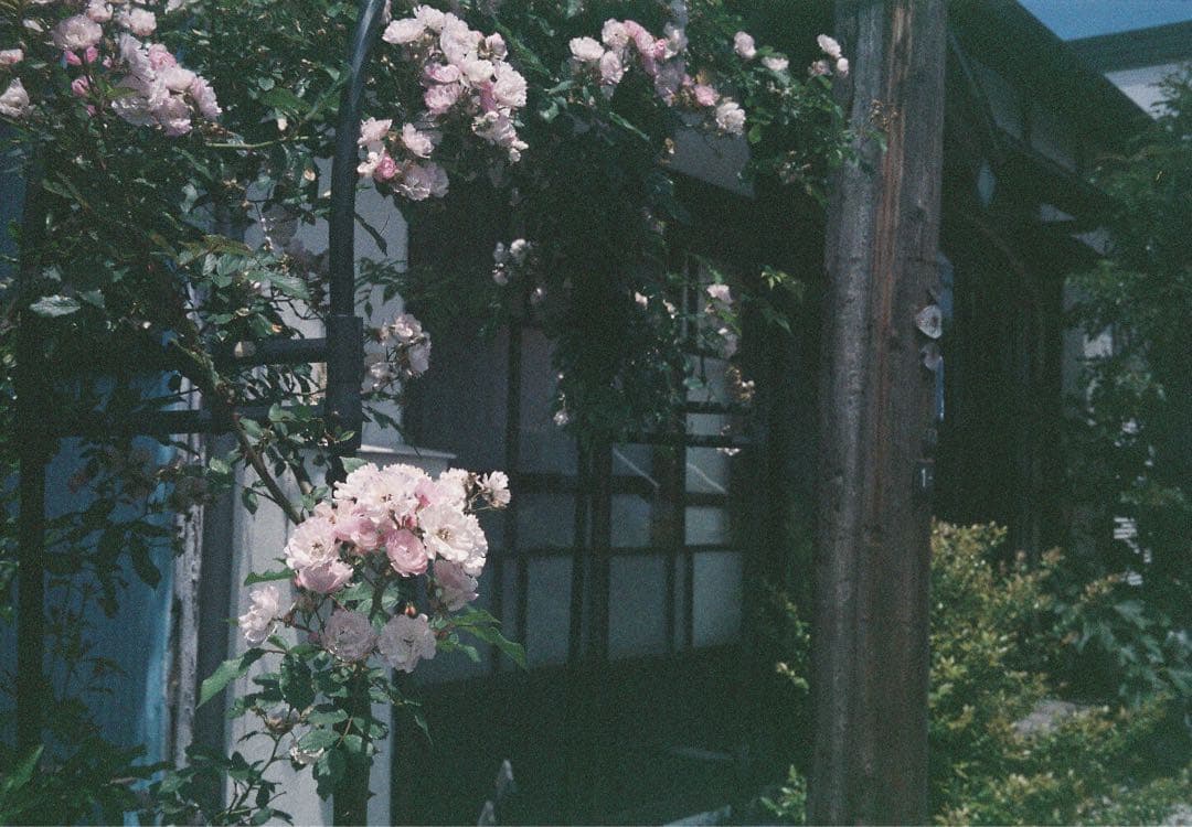 ライカコンパクトフィルムカメラLEICA　minilux zoom