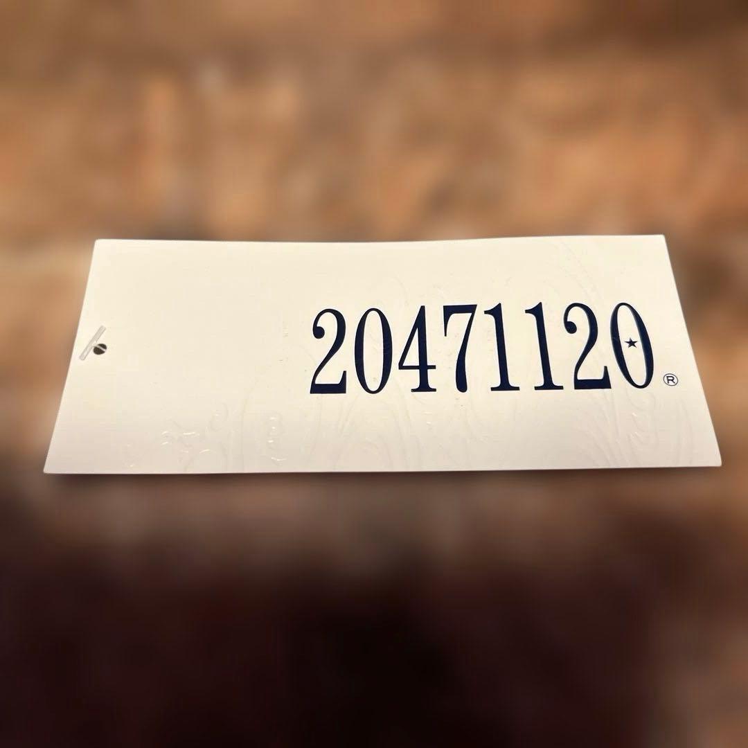 激レア　20471120 フリルブラウス