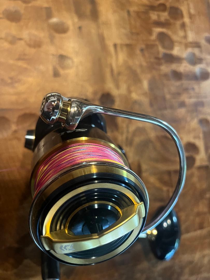 DAIWA SALTIGA ダイワ20ソルティガ8000 H