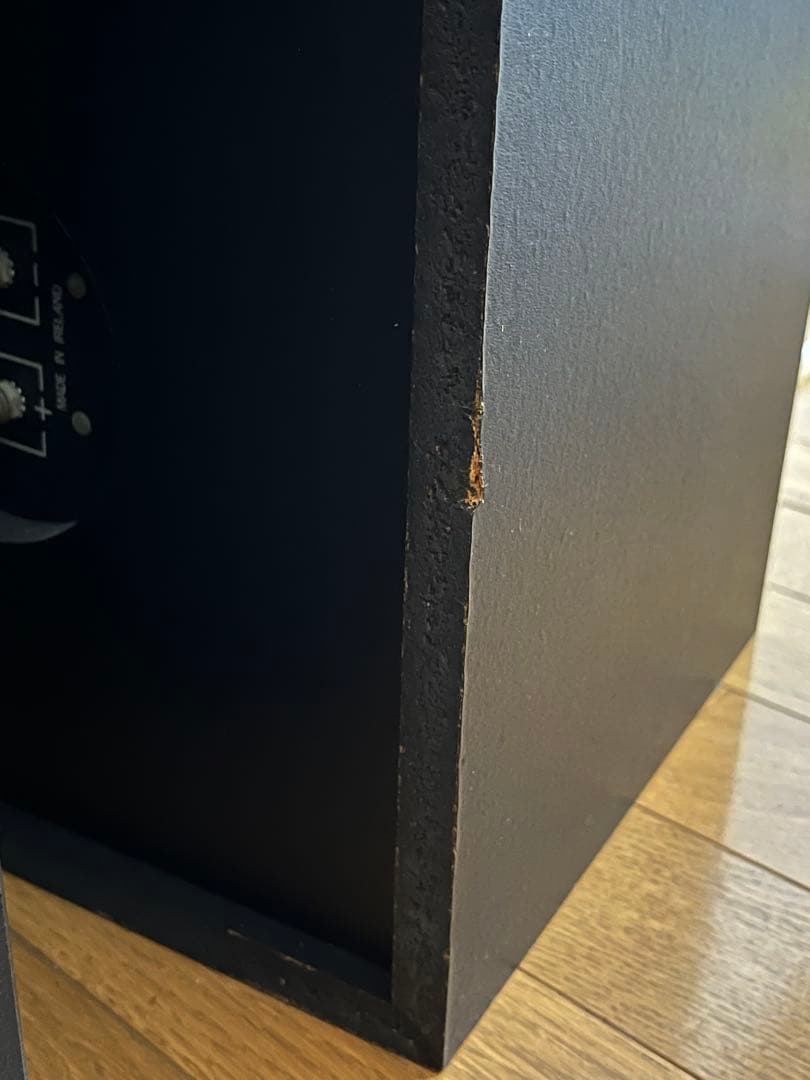 BOSE 301 TM スピーカー music moniter