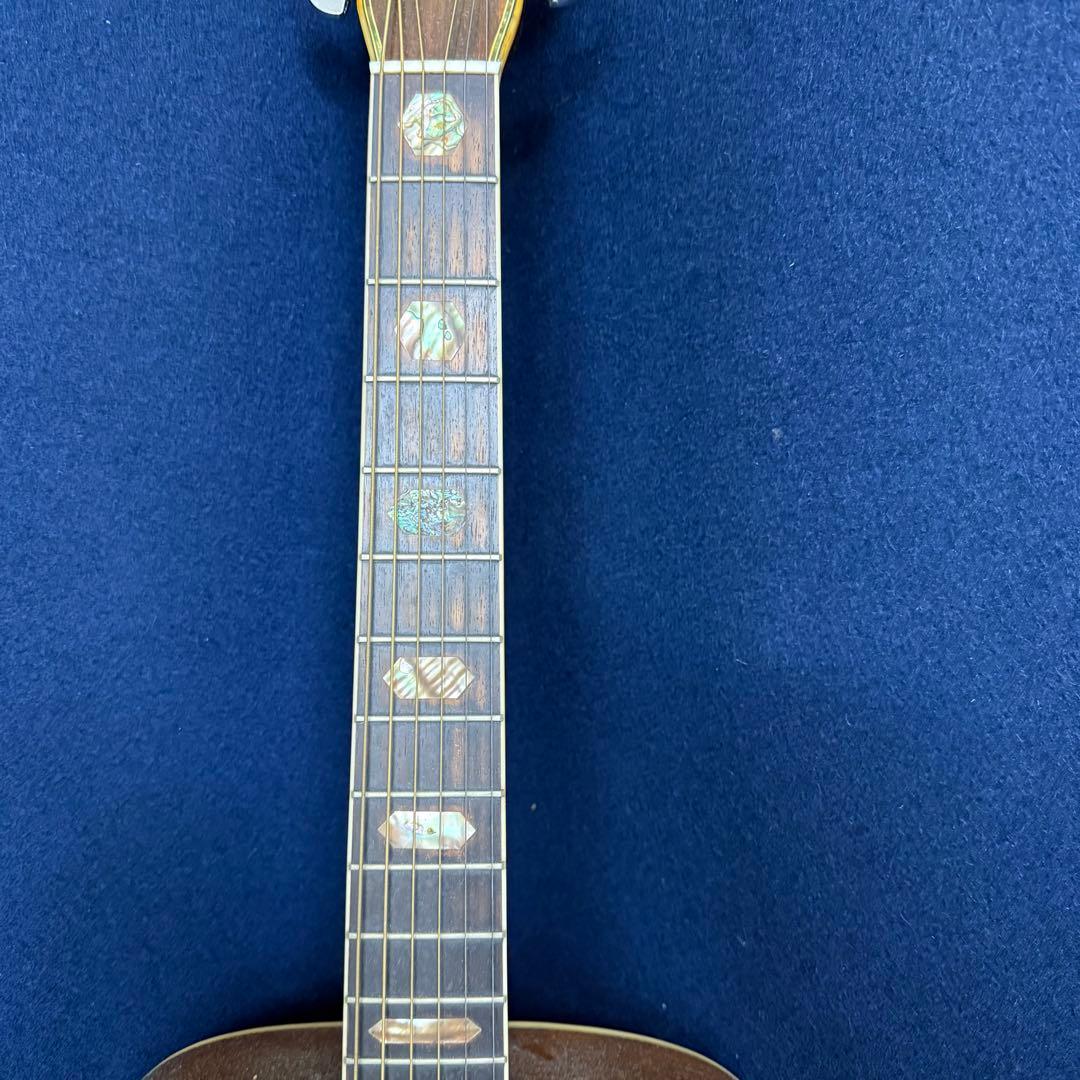 Pro Martin プロ マーティン W350 アコースティックギター