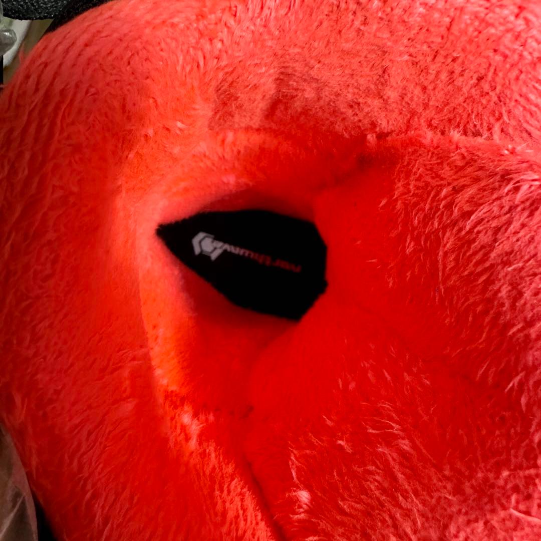 【セール】 NORTHWAVE ノースウェーブ スノーボードブーツ レディース