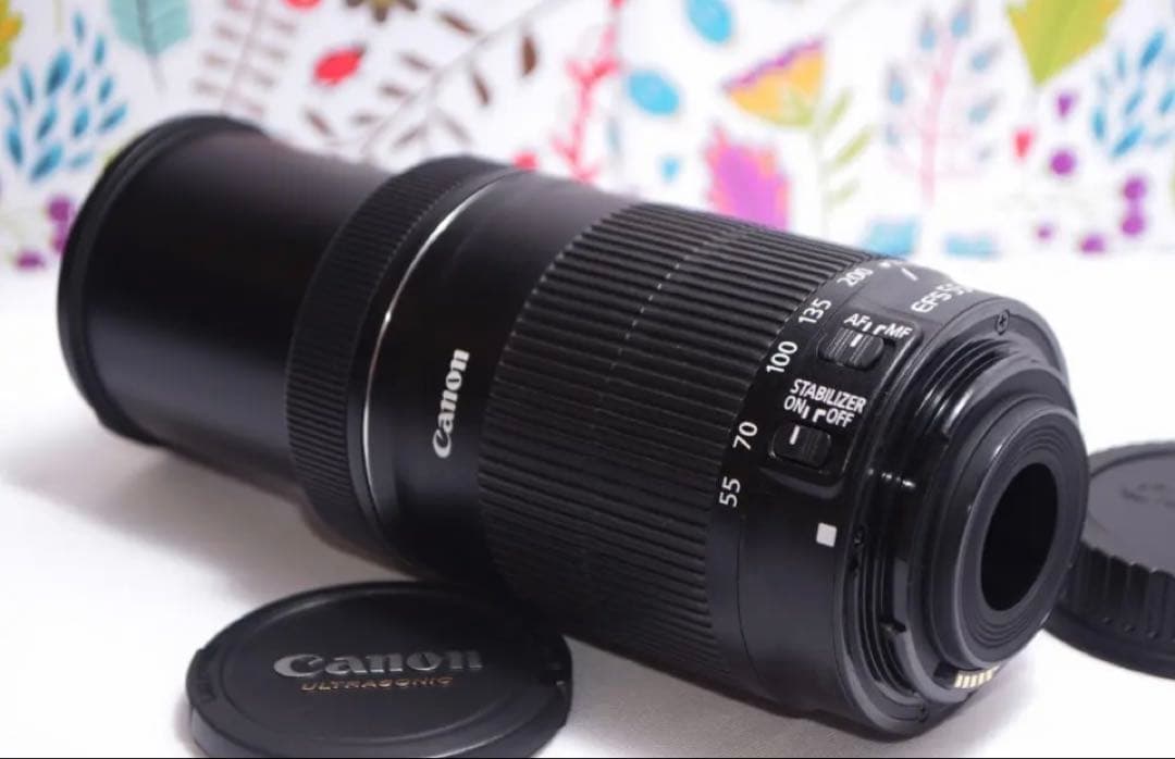 キャノン⚫︎Canon EF-S 55-250mm F4-5.6 IS STM