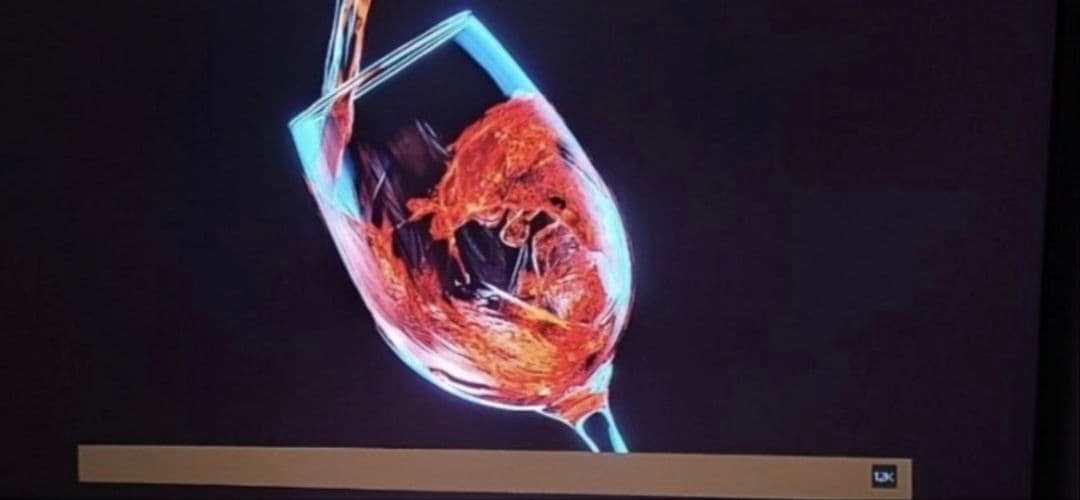 D-ILA DLA-X55R-B プロジェクター本体