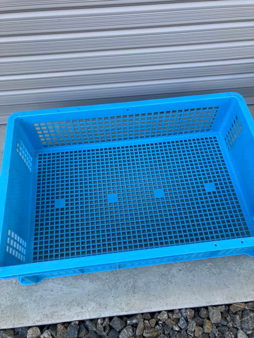 青いプラスチック製メッシュコンテナ　3枚セット