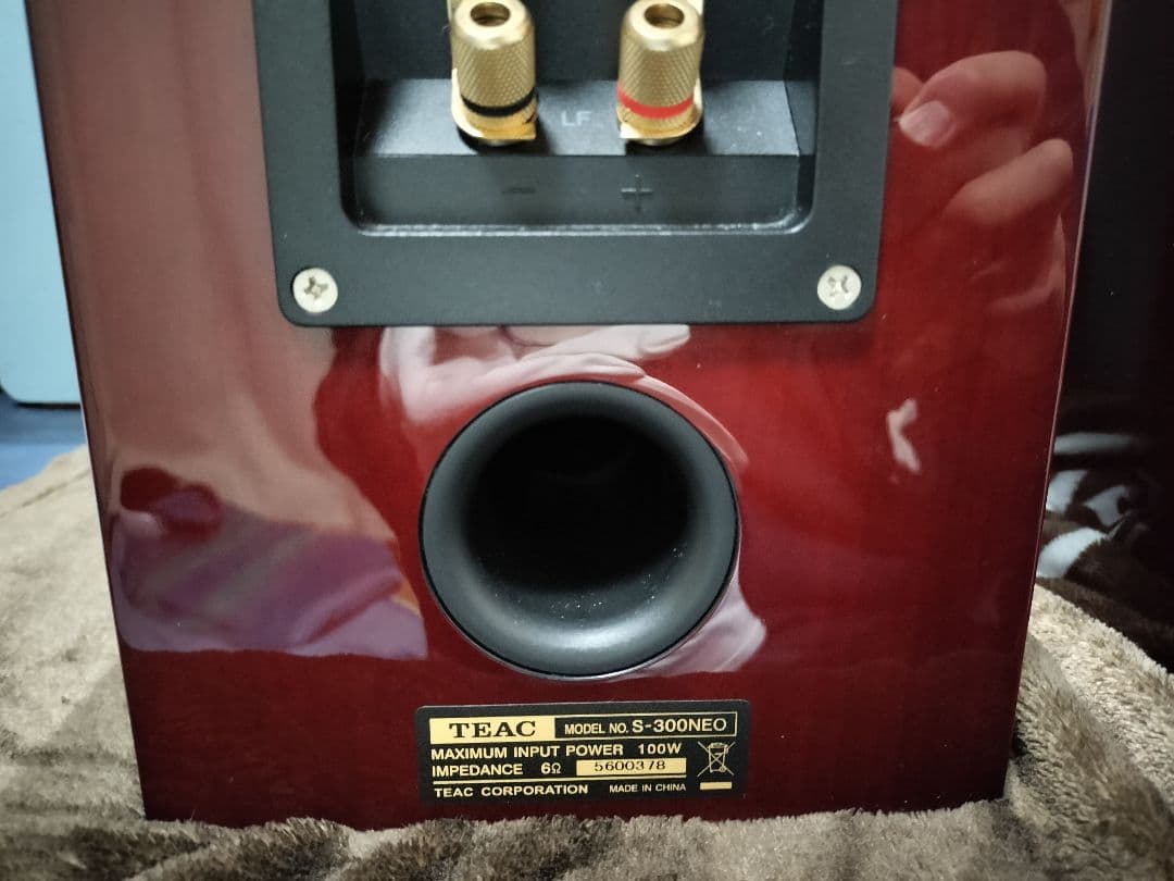 値下げ中 TEAC S-300NEO-CHスピーカー 外観とユニットは美品だけど