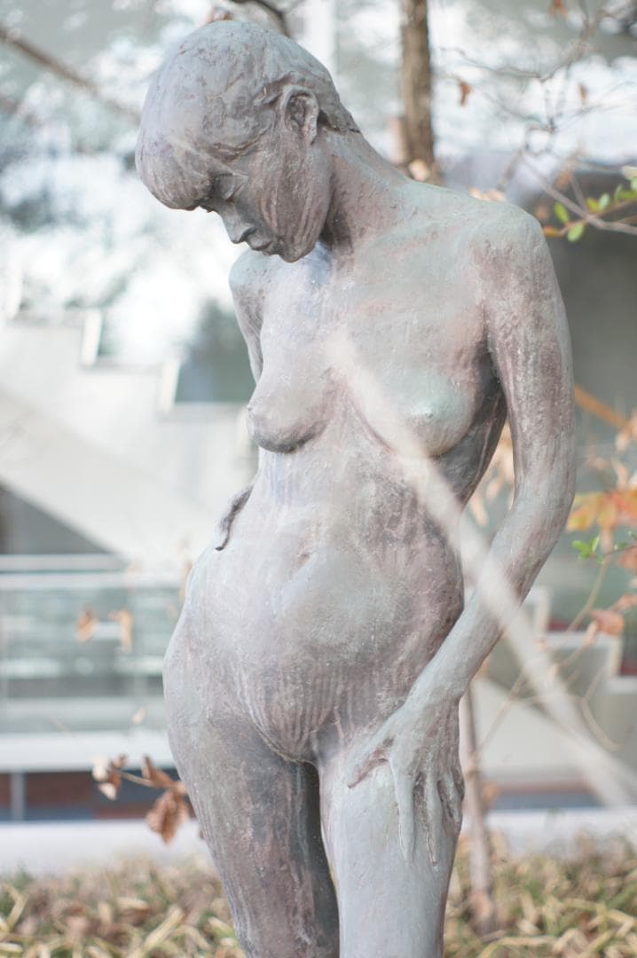 【富岡光学 ヤシカ】 Auto Yashinon-DX 50mm F2