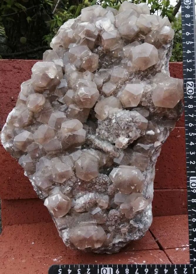 カルサイト10kg ーtot024