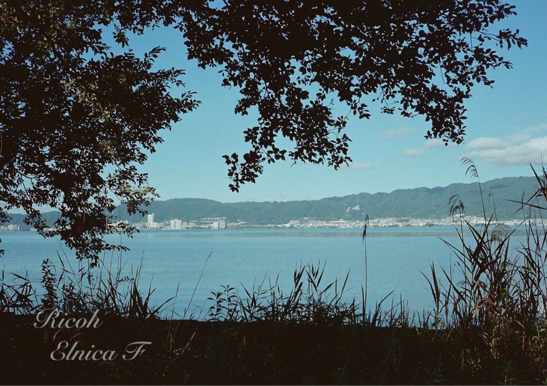 希少品！超美品！完動品★リコー elnica f★フィルム入門＊初期保証＊試写済