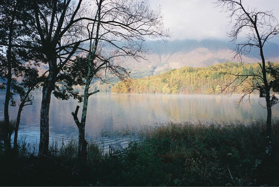 【撮影済み】FUJI CARDIA mini ELite フィルムカメラ