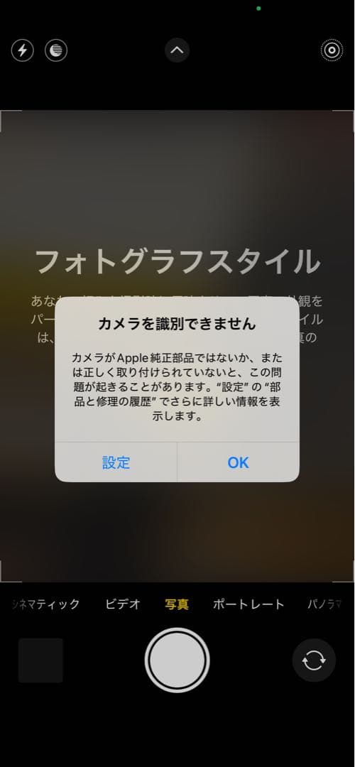 Apple SIMフリー iPhone13Pro 128GB シルバー