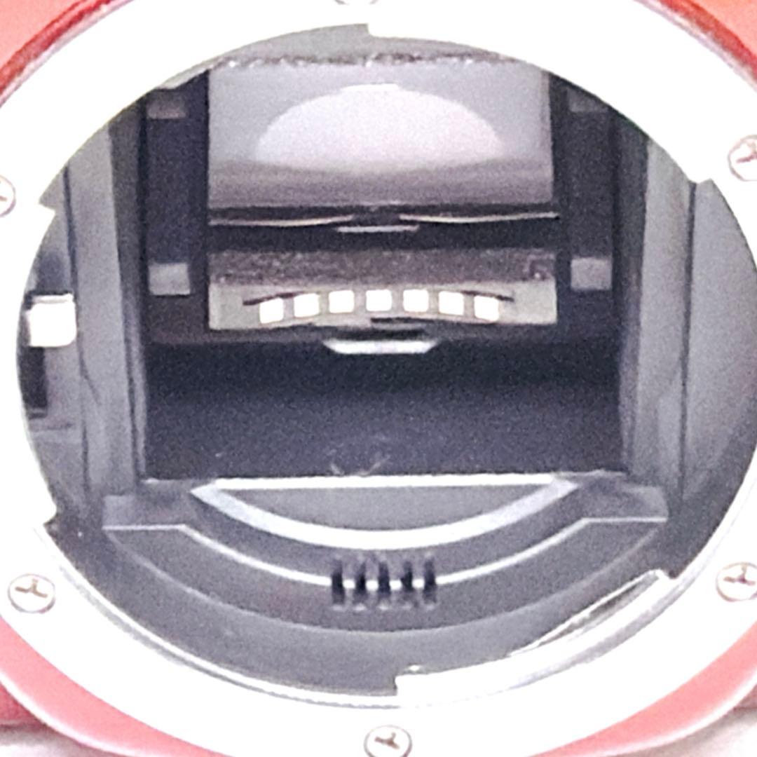 ❤️超新品級❤️一眼レフ❤️Nikon D5200 レッド❤️希少カラー