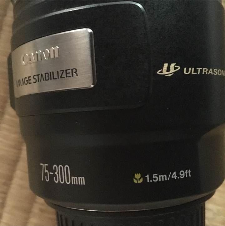canon望遠レンズ75-300