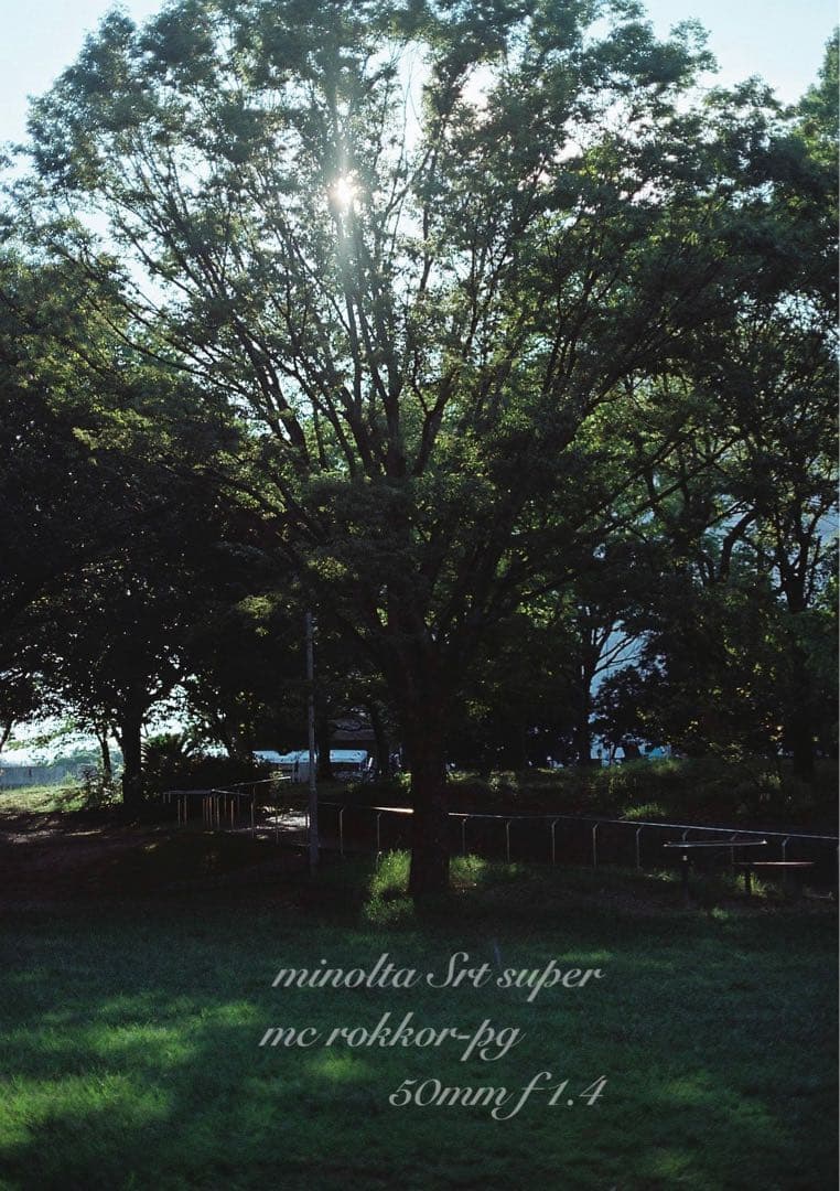 ★ミノルタ srt ★ロッコールf1.4★完動品＊美品＊初期保証★作例多数！