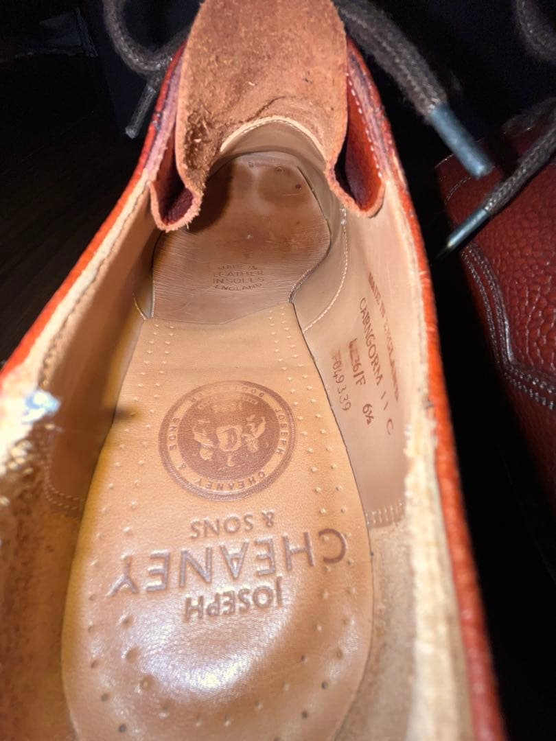 ジョセフチーニー　ケンゴン　F6.5