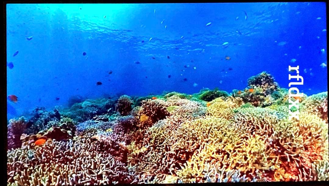 24年製 Hisense 50U7H 50型TV 4K 倍速パネル DOLBY