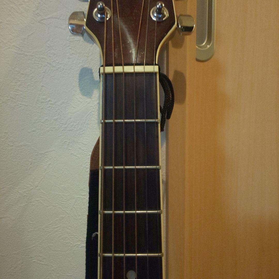 promartin ea500w vs エレアコ　ギター