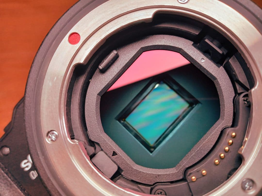 H*o様 【バッテリー計2個+SDカード】SIGMA sd quattro ボデ