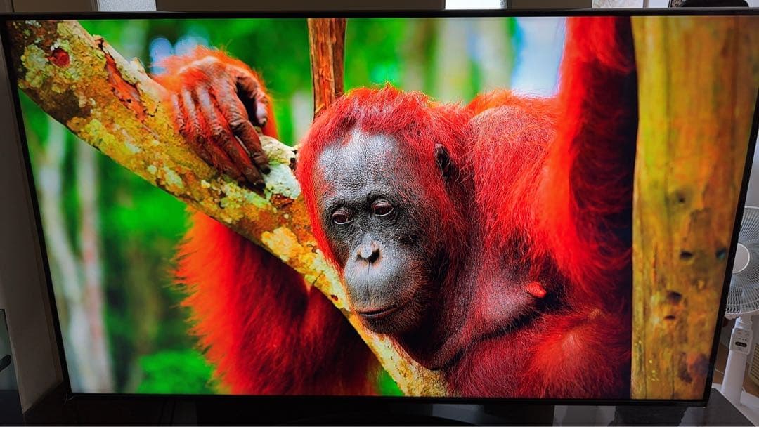 さ*ま様 LG 4K 液晶テレビ　55インチ　55nano91jna