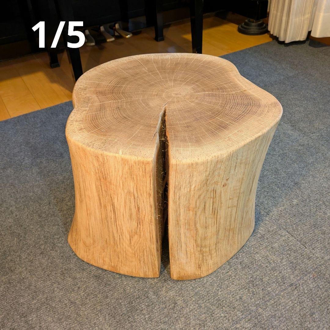 3104　　ミズナラ　水楢　天然木　切り株　丸太　輪切り　高さ約28㎝