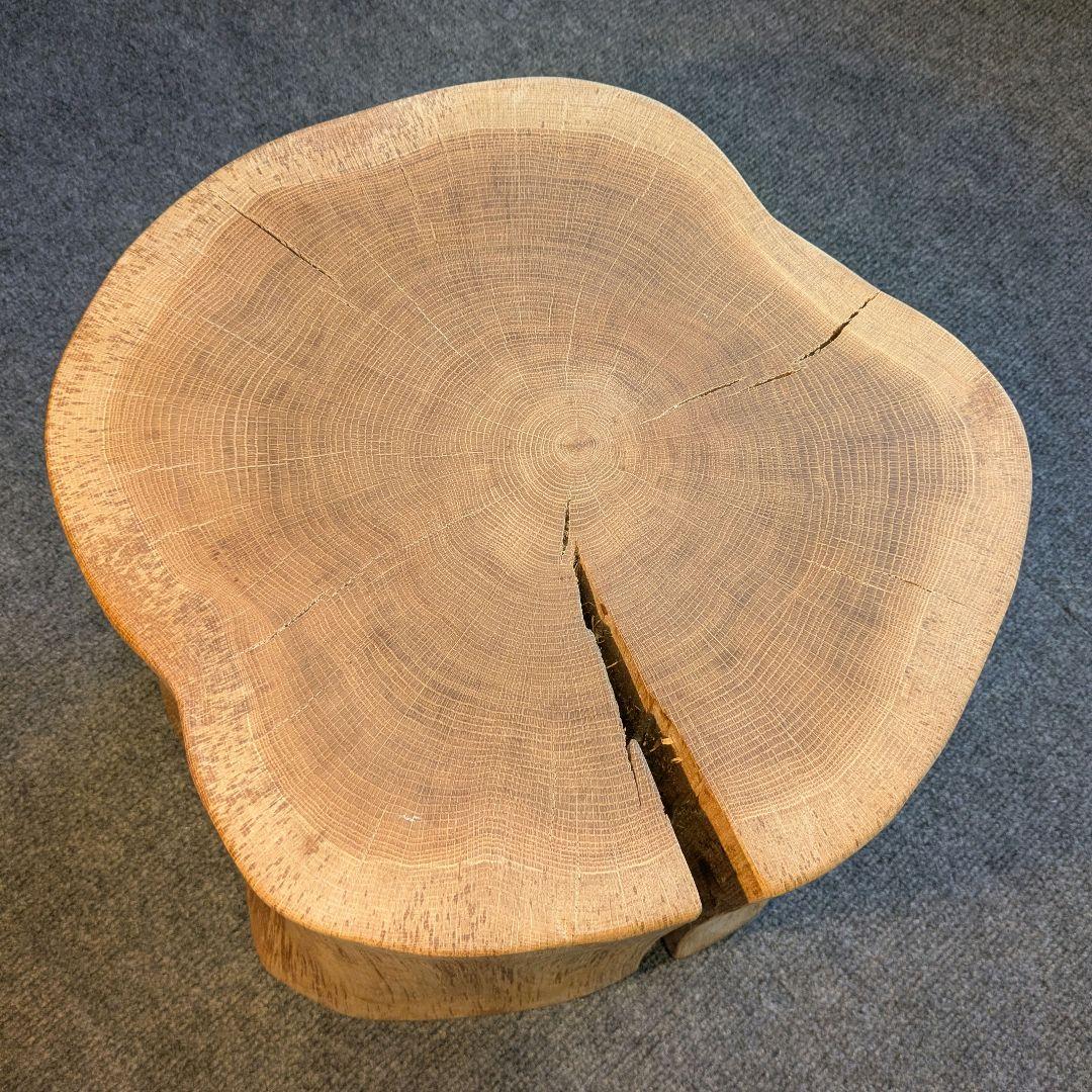 3104　　ミズナラ　水楢　天然木　切り株　丸太　輪切り　高さ約28㎝