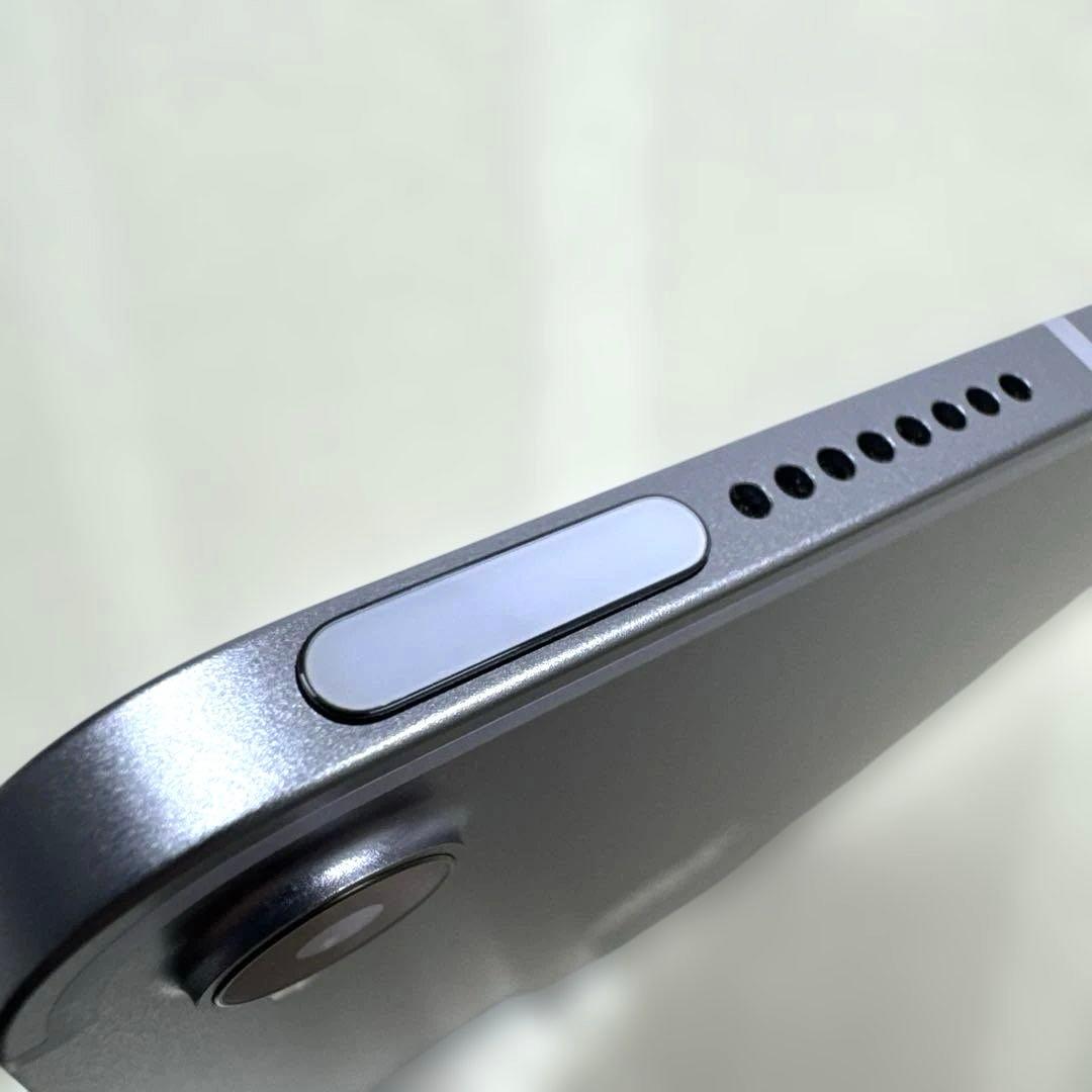 iPad mini6 256GB セルラー バッテリー91% シムフリー