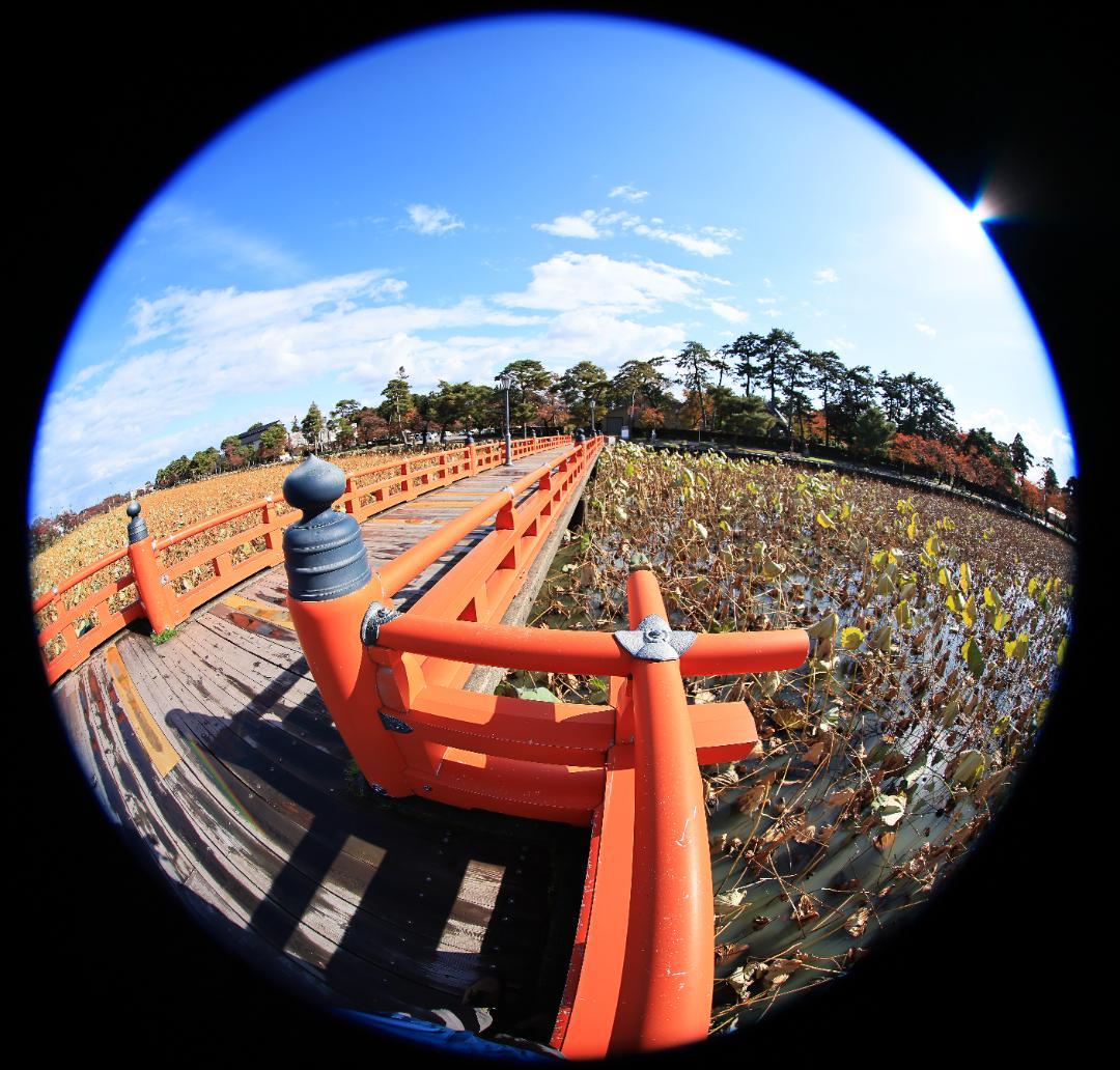 Canon EF8-15mm F4L フィッシュアイ USM