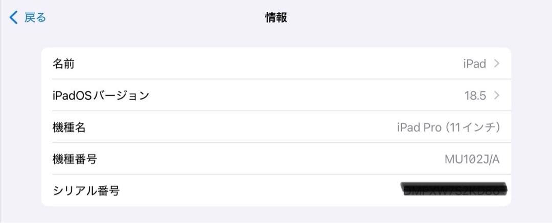 iPad Pro11インチ第一世代256GB セルラーモデルとキーボードのセット